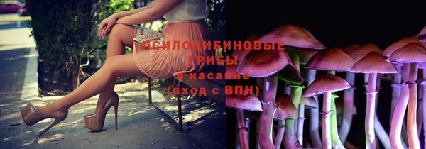 jwh Алзамай