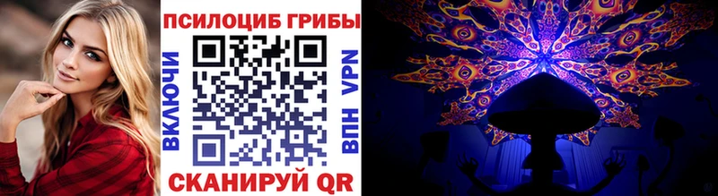Галлюциногенные грибы Psilocybe Троицк